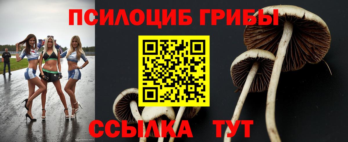 Йошкар-Ола  Галлюциногенные грибы ЛСД  Псилоцибиновые грибы GOLDEN TEACHER  Вход с VPN 