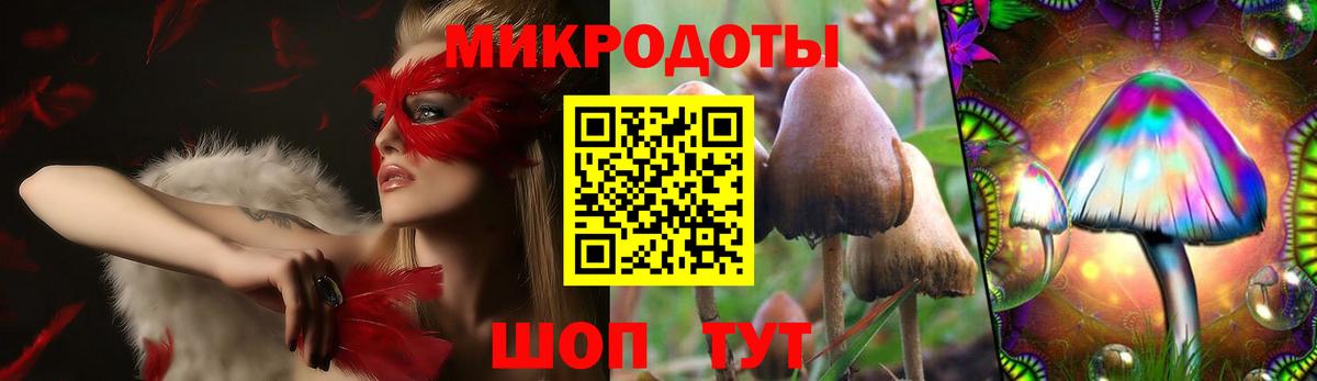 Псилоцибиновые грибы прущие грибы Йошкар-Ола